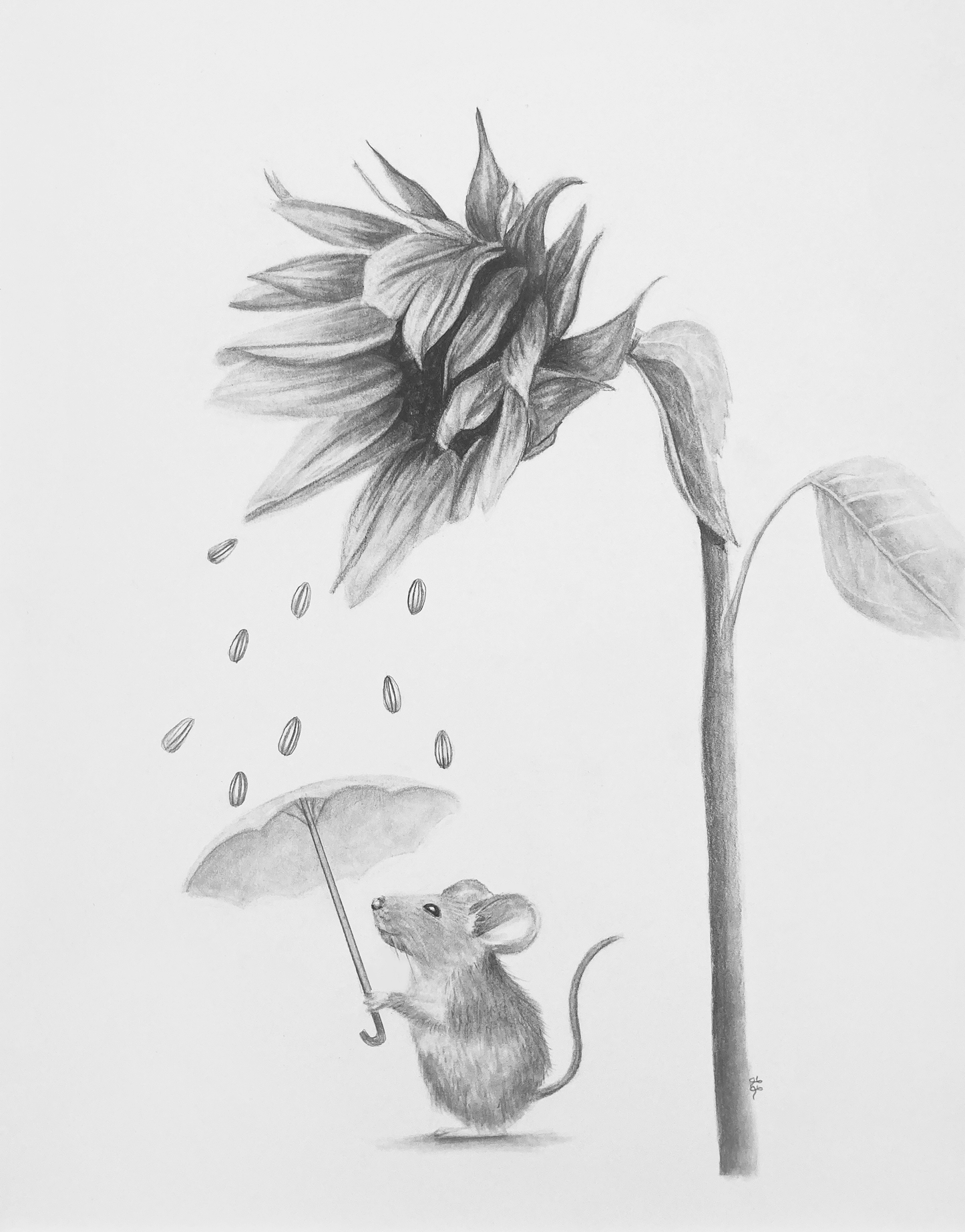 "Flower Shower" Art Print