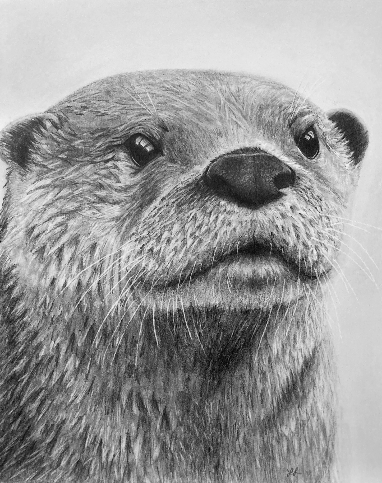 "Ottie" Art Print