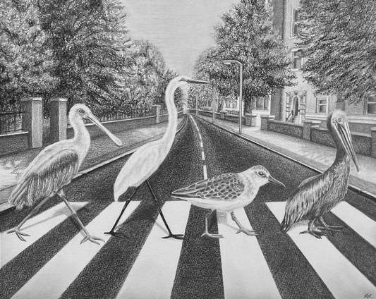 "Avian Abbey Road" Art Print