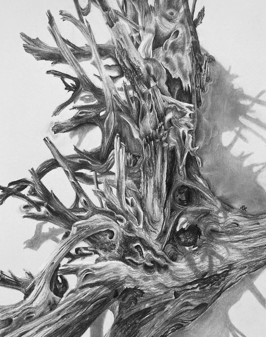 "Boneyard Driftwood #2" Art Print