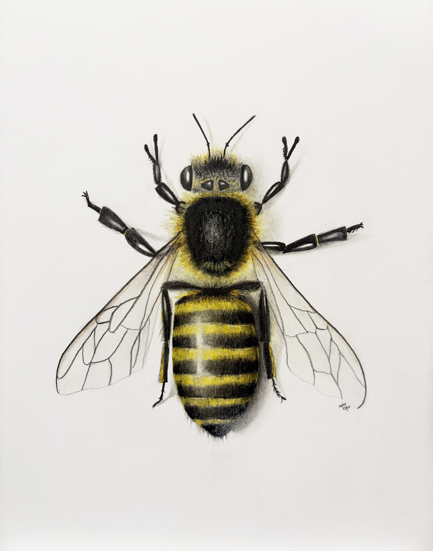 "Peace, Love & Honey" Art Print