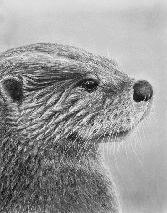 "Harriet" Art Print